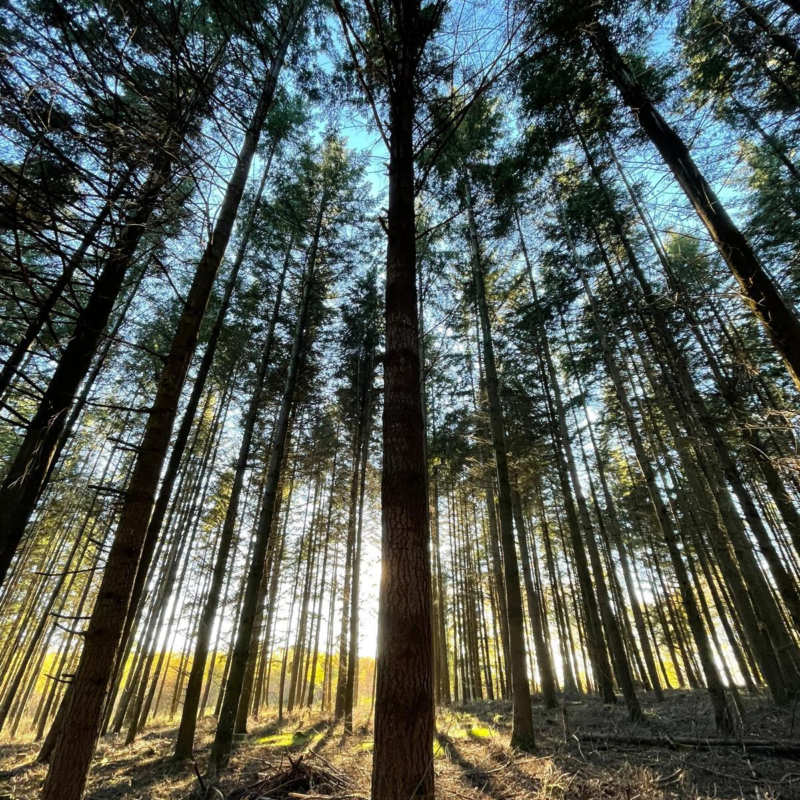 Für ein Grünberg, das wächst – im Einklang mit Mensch und Natur!