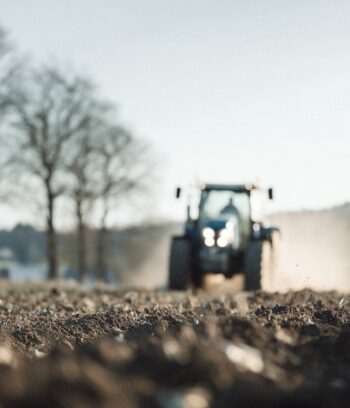 Aus dem Wahlprogramm der Freien Wähler Grünberg zur Kommunalwahl am 15.03.2026 zum Thema Natur und Landwirtschaft.
